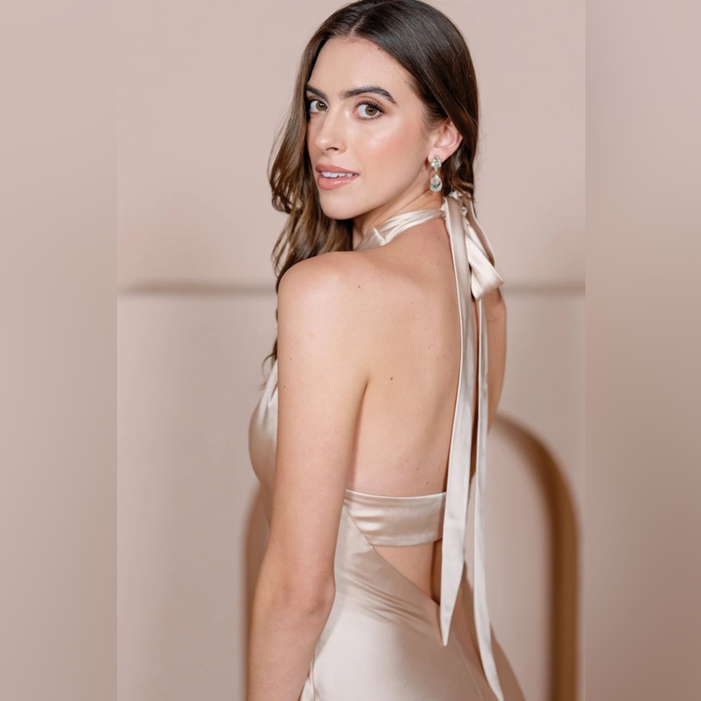 🌸Revelry Athena Satin Dress 🌸